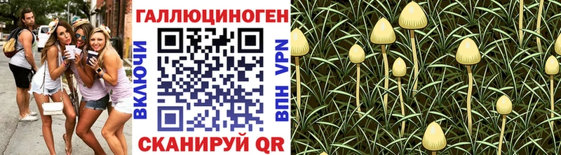 купить наркотик  Алейск  Галлюциногенные грибы Magic Shrooms 